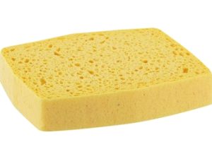 eponge-vegetale-n°-4-