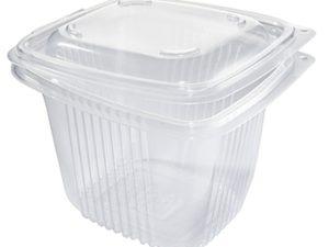 BOITE A COUVERCLE A CHARNIERE TRANSLUCIDE